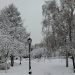 meteo-russia:-rara-abbondante-nevicata-a-mosca