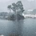 australia-sotto-il-tiro-del-meteo-antartico,-in-arrivo-bufere-di-neve
