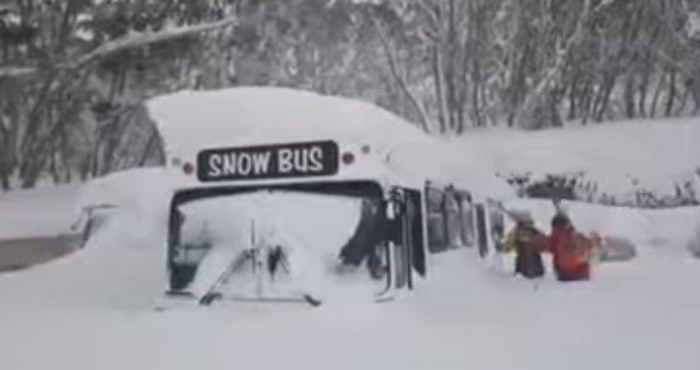 meteo-australia,-nevicate-insolite,-i-canguri-saltano-sulla-neve