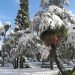 meteo-glaciale-del-18-22-dicembre-2009:-nevicate-record-e-gelo-eccezionale