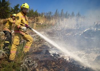 nuova-zelanda,-boschi-in-fiamme:-il-peggior-incendio-da-oltre-60-anni