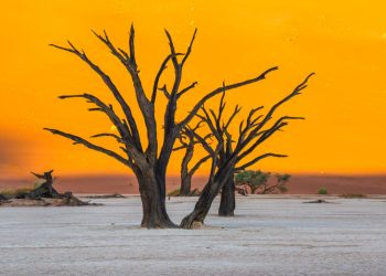 meteo-africa:-gravissima-siccita-in-namibia,-la-peggiore-da-100-anni