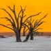 meteo-africa:-gravissima-siccita-in-namibia,-la-peggiore-da-100-anni