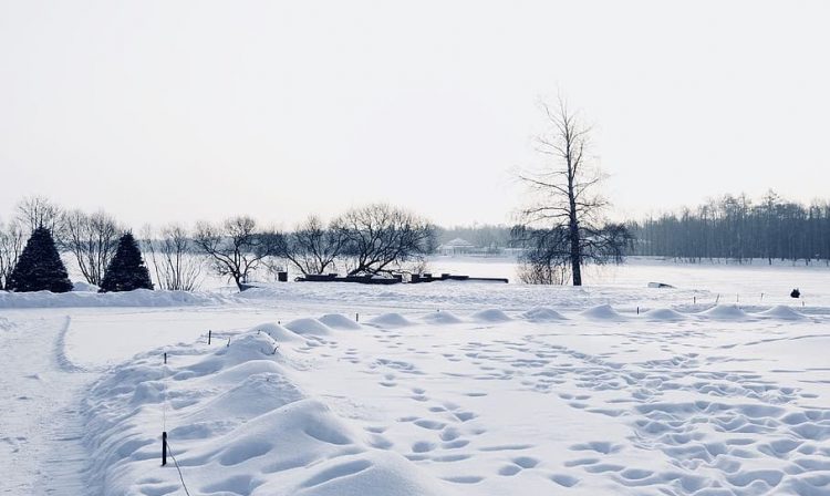 meteo-russia-asiatica:-freddo-record-nella-transbaikal