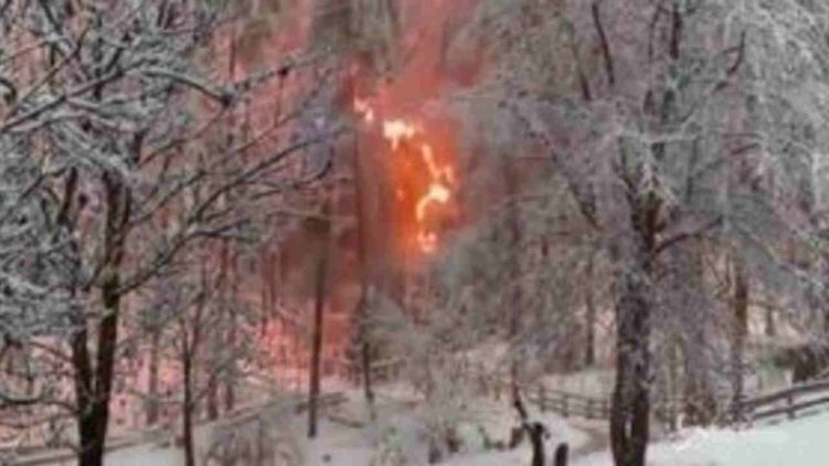 bosco-in-fiamme-mentre-nevica,-video.-incredibile,-ecco-come-e-successo