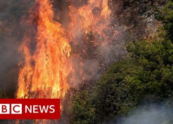 libano-in-fiamme-da-giorni,-e-una-vera-catastrofe