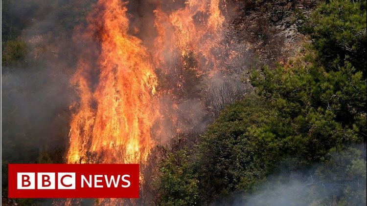 libano-in-fiamme-da-giorni,-e-una-vera-catastrofe