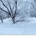 meteo-invernale-nel-nord-degli-usa,-record-di-neve-in-minnesota