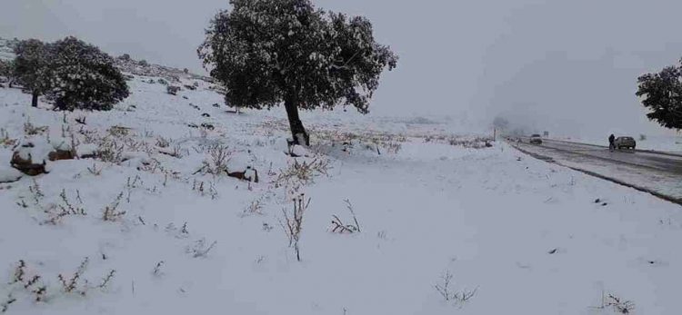 meteo-invernale-con-grandi-nevicate-in-algeria.-foto-e-video