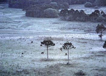meteo-in-brasile:-storico-gelo-estivo