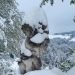 meteo-svizzera:-clamorosa-neve-record-di-maggio-a-berna-e-san-gallo
