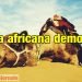 l’anticiclone-africano-distrutto,-svolta-meteo-inaspettata