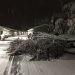 meteo-stati-uniti:-bufere-di-neve-colpiscono-l’alaska-e-lo-stato-di-washington