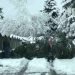 video-meteo:-alpi-sepolte-di-neve,-in-attesa-delle-nuove-imminenti-nevicate