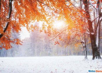 anticipo-di-meteo-invernale-in-polonia,-freddo-con-temperature-record