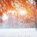 anticipo-di-meteo-invernale-in-polonia,-freddo-con-temperature-record