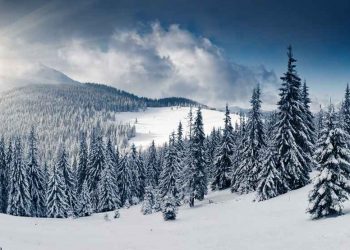 meteo-india:-prime-nevicate-nelle-valli-himalayane