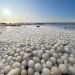 uova-di-ghiaccio-in-finlandia:-fenomeno-meteo-raro-e-spettacolare