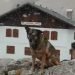 la-splendida-nevicata-sul-rifugio-giussani,-video-meteo