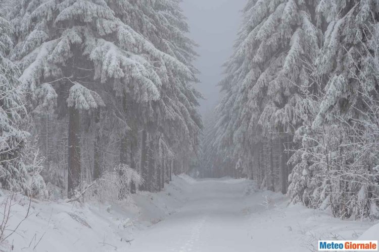 maltempo-con-altra-neve-sull’italia,-ne-sta-arrivando-tantissima.-ecco-dove