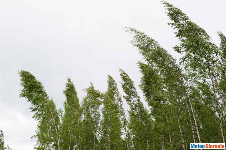 meteo-canada:-tempesta-di-vento-con-gravi-danni-in-quebec