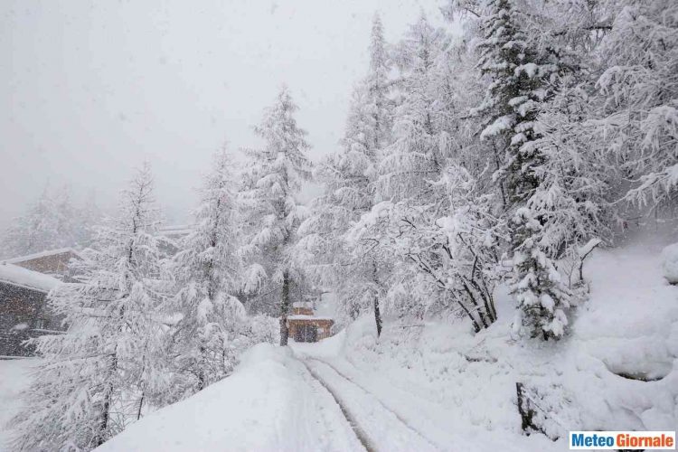 tornano-le-grandi-nevicate-sulle-alpi,-prevista-oltre-un-metro-di-neve-fresca