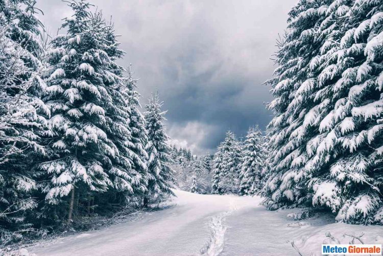 neve-in-arrivo,-a-tratti-cadra-fino-in-collina.-ecco-tutti-i-dettagli