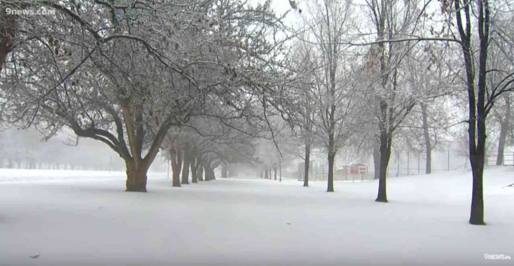 usa,-denver-nel-blizzard.-la-primavera-non-c’e