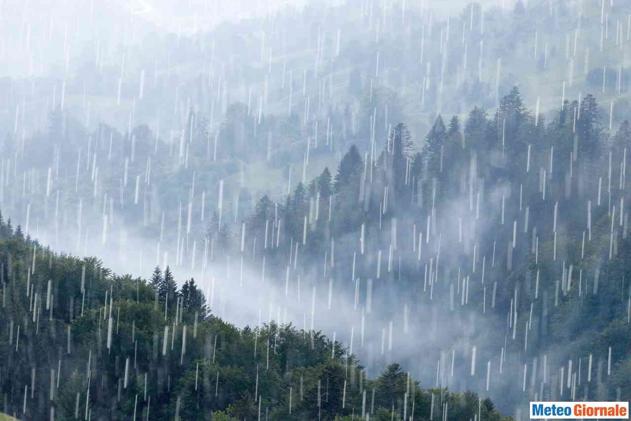 实拍春天森林小路下雨-livekong来悟空素材