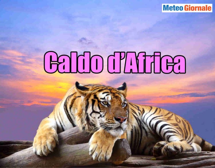 meteo-italia:-caldo-d’africa,-prima-del-freddo