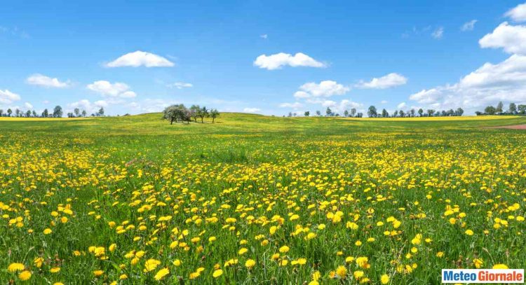 meteo-per-mercoledi-11-marzo.-anticiclone-e-caldo-fuori-stagione