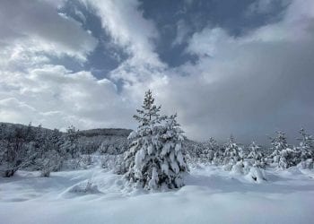 ondata-di-freddo-sui-balcani,-grosse-nevicate-a-sofia-e-bucarest.-foto-meteo