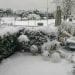 meteo-storia:-febbraio-2012-con-gelo-e-nevicate-apocalittiche-da-record