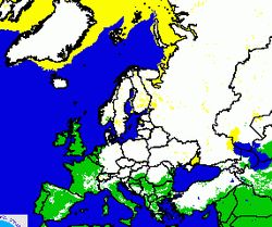 il-ghiaccio-polare-avanza-nel-settore-europeo