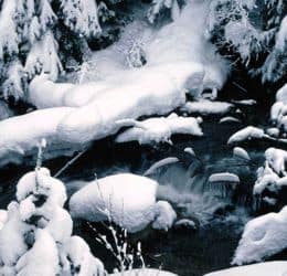 la-nevicata-torinese-del-27-ottobre-1979-(prima-parte)