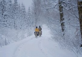 pieno-inverno-in-europa-centro-orientale:-neve-anche-a-berlino-e-sofia