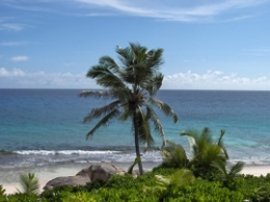 seychelles:-mare-cristallino,-sabbia-fine,-macigni-granitici-antichissimi,-fauna-e-flora-esuberanti