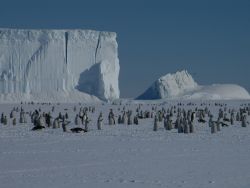 freddo-d’aprile-sul-plateau-antartico