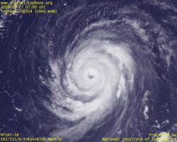 choi-wan-ancora-tifone-di-categoria-4,-gran-caldo-in-brasile-e-paraguay