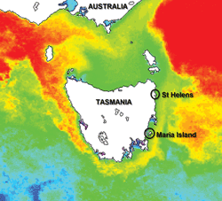 in-tasmania-e-record:-registrate-le-piu-alte-temperature-invernali-delle-acque
