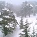 il-libano-e-la-neve:-un-matrimonio-che-“s’ha-da-fare”