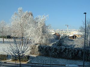 il-gelo-del-20-dicembre-2009-e-gia-storia