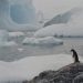 nel-2009-record-di-minor-scioglimento-dei-ghiacci-antartici!