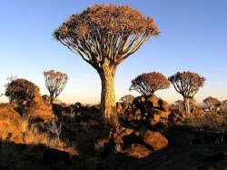 il-clima-della-namibia:-arida-la-marittima-walvis-bay,-piu-piovosa-e-continentale-windhoek