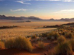 il-clima-della-namibia:-tra-nebbie-di-mare-e-assolati-deserti