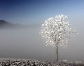 ancore-nebbie-e-gelo-nell’europa-centrale-caldo-in-giappone,-tokyo-vola-a-quasi-18°c.