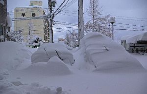 grandi-nevicate-in-corea-del-sud