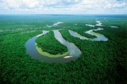 sud-america,-la-tremenda-siccita-del-2010-ha-messo-a-rischio-la-foresta-amazzonica