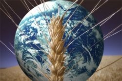 sicurezza-alimentare-e-cambiamenti-climatici:-quali-le-correlazioni?