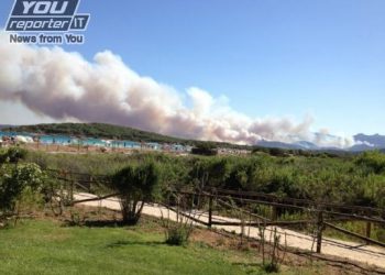 disastro-naturale-per-gli-incendi-in-sardegna,-in-fumo-quasi-2000-ettari